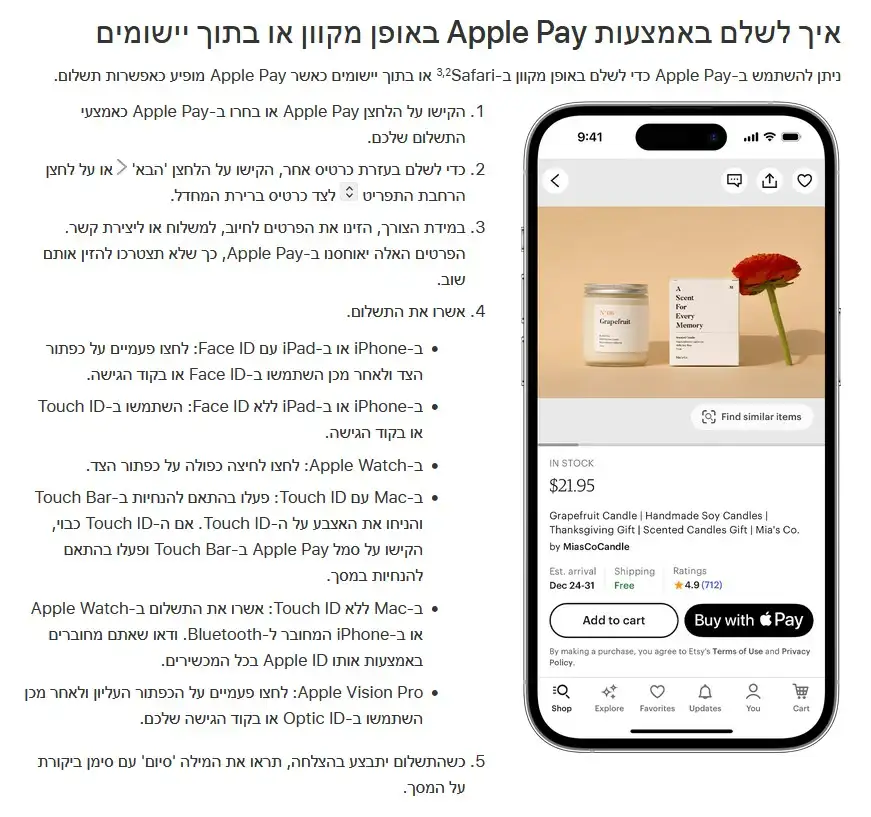 online apple pay